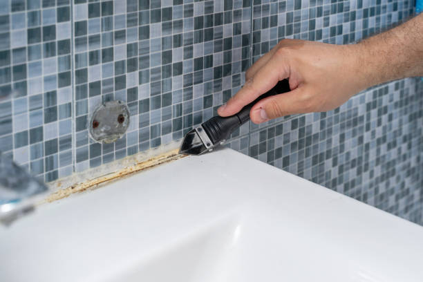Best Localized Mold Remediation (e.g., coastal areas, humid climates) in Viola, IL